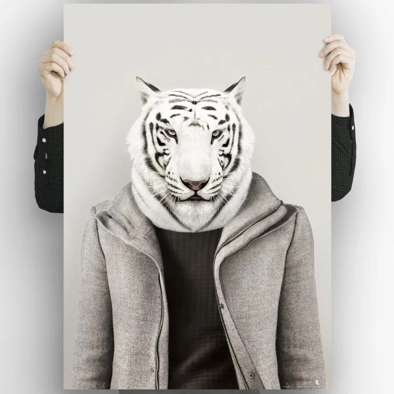 Modelo Tigre Albino-poster-lavable-para-exterior-interior-decoracion-divertida-original-estilo-moderno-lokoloko