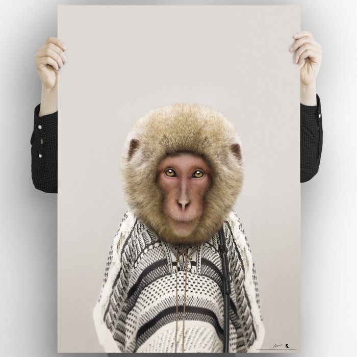 Monkey Model