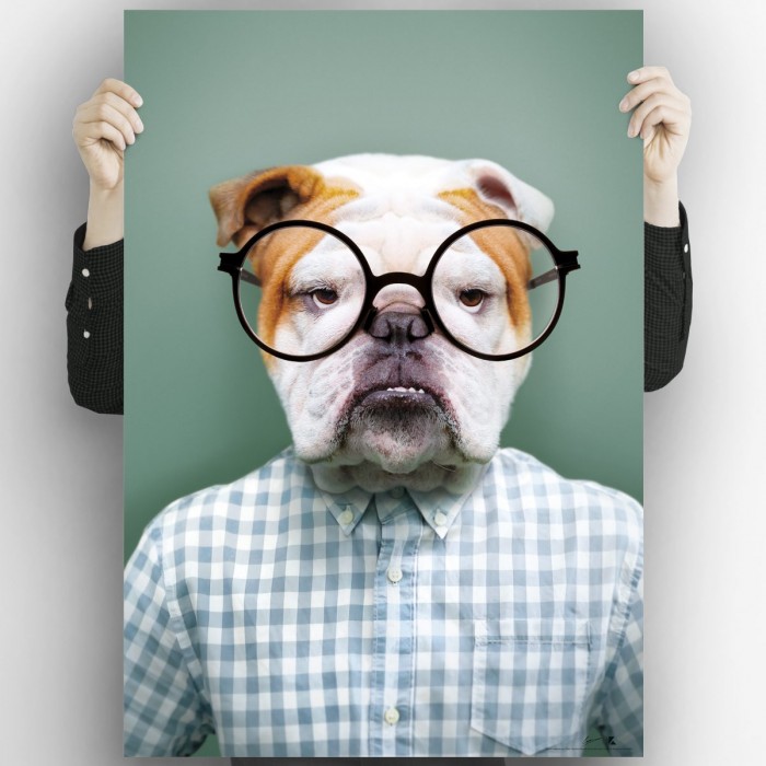 Bulldog model-poster-washable-exterior-interior-walls-frames-paintings-modern-style-lokoloko