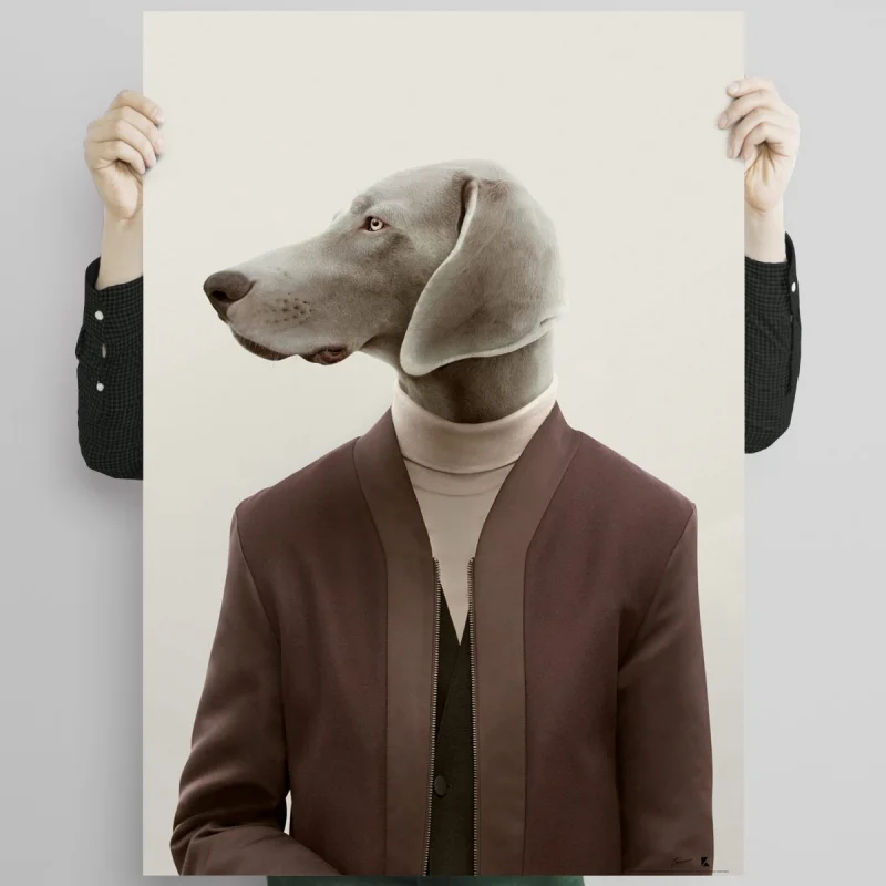 Modelo perro Weimaraner-poster-elegante-lavable-para-paredes-en-interior-exterior-decoracion-moderna-lokoloko